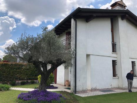 Asta immobiliare - Esecuzione 320/2017 - Lotto unico - (ASSET - Associazione Esecuzioni Immobili Treviso)