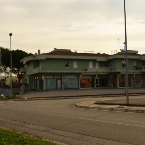 Asta immobiliare - Esecuzione 111/2019 - Lotto unico - (ASSET - Associazione Esecuzioni Immobili Treviso)