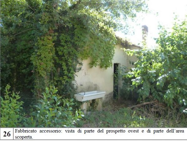 Asta immobiliare - Esecuzione 305/2017 - Lotto unico - (ASSET - Associazione Esecuzioni Immobili Treviso)
