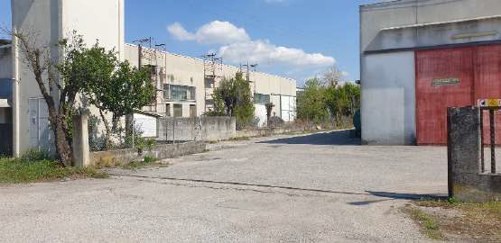 Asta immobiliare - Esecuzione 264/2019 - Lotto unico - (ASSET - Associazione Esecuzioni Immobili Treviso)