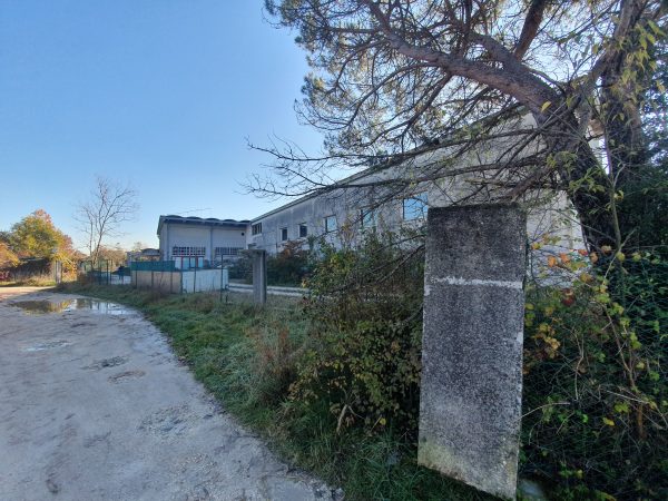 Asta immobiliare - Esecuzione 65/2018 - Lotto 2 - (ASSET - Associazione Esecuzioni Immobili Treviso)