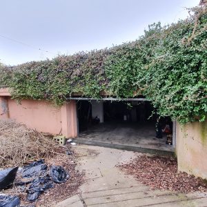 Asta immobiliare - Esecuzione 684/2017 - Lotto 3 - (ASSET - Associazione Esecuzioni Immobili Treviso)