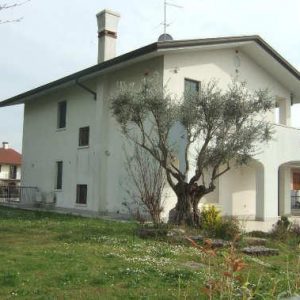 Asta immobiliare - Esecuzione 316/2016 - Lotto 2 - (ASSET - Associazione Esecuzioni Immobili Treviso)