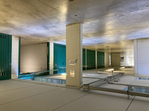 Asta immobiliare - Esecuzione 350/2021 - Lotto 21 - (ASSET - Associazione Esecuzioni Immobili Treviso)