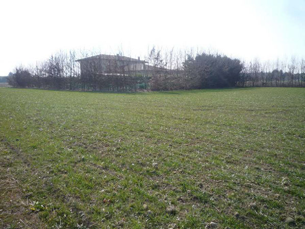 Asta immobiliare - Esecuzione 415/2020 - Lotto unico - (ASSET - Associazione Esecuzioni Immobili Treviso)