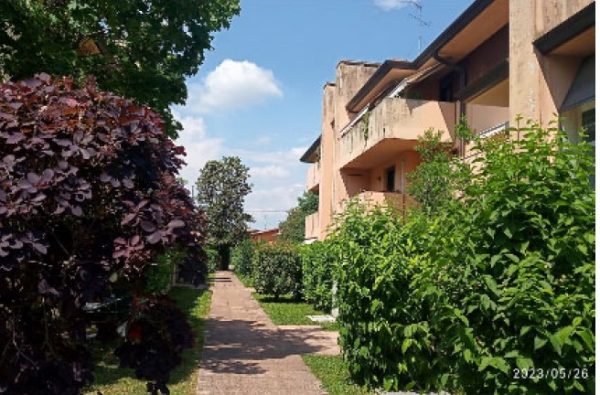 Asta immobiliare - Esecuzione 92/2022 - Lotto unico - (ASSET - Associazione Esecuzioni Immobili Treviso)