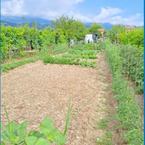Asta immobiliare - Esecuzione 119/2023 - Lotto 2 - (ASSET - Associazione Esecuzioni Immobili Treviso)