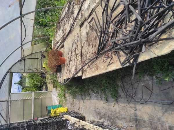 Asta immobiliare - Esecuzione 68/2023 - Lotto unico - (ASSET - Associazione Esecuzioni Immobili Treviso)