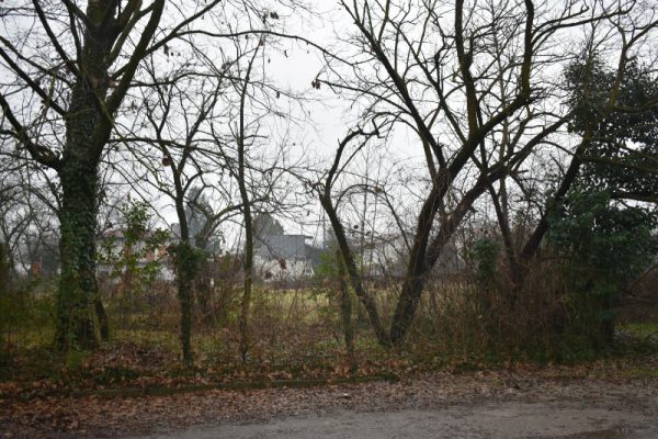 Asta immobiliare - Esecuzione 465/2022 - Lotto unico - (ASSET - Associazione Esecuzioni Immobili Treviso)
